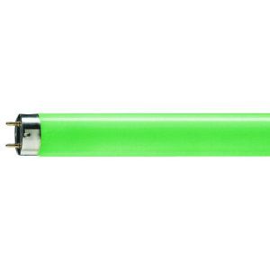 TL-D Colored 36W Green 1SL/25 TL-D farbig - Fluorescent lamp - Lampenl