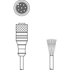 KD S-M12-8A-P1-050 Anschlussleitung