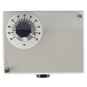 603026/0120-1-066-30-0-00-20-13-46-150-15-6/000 Doppelthermostat (TR/STW), 60 bi