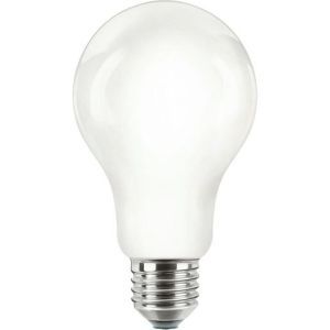 CorePro LEDBulbND 120W E27 A67 840 FR G LED-lamp/Multi-LED - CorePro Glass Lampe