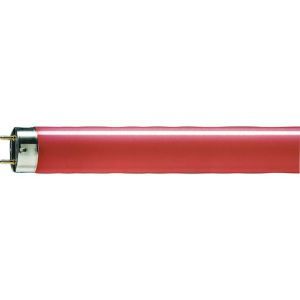 TL-D Colored 58W Red 1SL/25 TL-D farbig - Fluorescent lamp - Lampenl