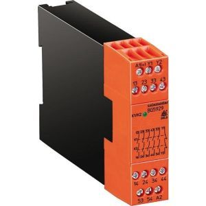 BG5929.60 AC/DC24V, ERWEITERUNGSMODUL