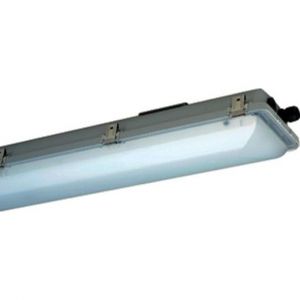nD867 12L42/1/4 EX-LED-Notleuchte 1 h ExeLed 2 N EX-Zone