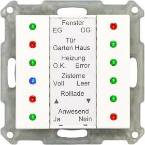 SCN-LED55.01 LED Anzeige 55, Reinweiß glänzend