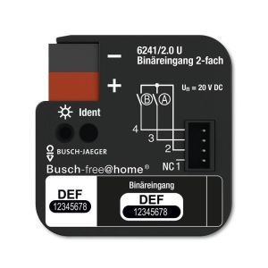 6241/2.0 U, 6241/2.0U Binäreingang, 2fach, UP, BJE