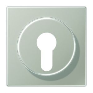 ES 2928 Abdeckung für Schlüsselschalter mit Demo