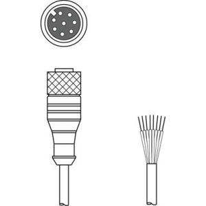 KD S-M12-8A-P1-250 Anschlussleitung