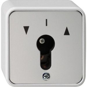 014430 Schlüsselschalter 2-p WG AP Grau