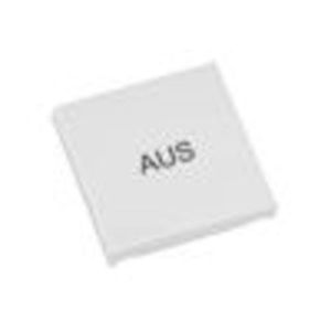 RTS22-ACC-04-02P Wippe AUS Format 55 weiß für Wandsender