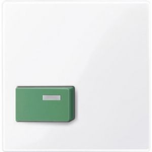 451525 Zentralplatte für Abstelltaster, grün, a