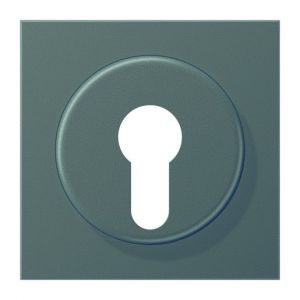 AL 2928 AN Abdeckung für Schlüsselschalter mit Demo