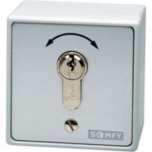 9000021, Schlüsseltaster, AP - UP, 2-polig, inkl. zwei Schlüssel