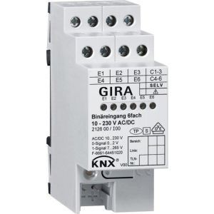 212600, Binäreing. 6f 10 - 230 V AC/DC KNX REG