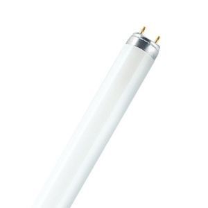 L 58 W/77, L-Lampe Fluora Stabform 26mm, 58W, G13, 2A, 2250lm
