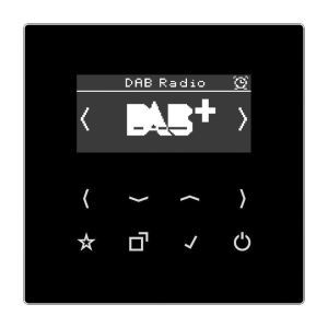 DAB LS SW Smart Radio DAB+, Serie LS, schwarz