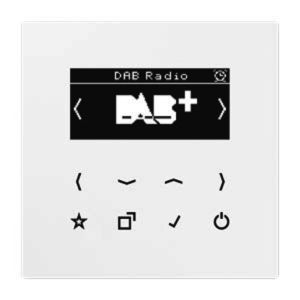 DAB LS WW Smart Radio DAB+, Serie LS, alpinweiß