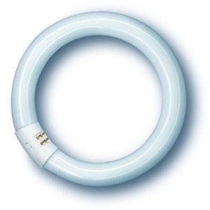 NL-T9 32W/840C/G10Q Leuchtstofflampe Spectralux®Plus Ring  N