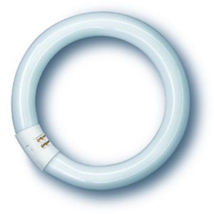 NL-T9 22W/840C/G10Q Leuchtstofflampe Spectralux®Plus Ring  N