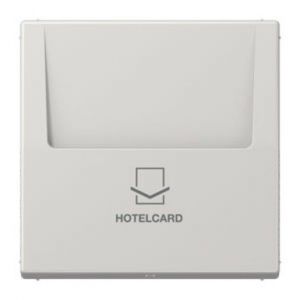 LS 590 CARD LG Hotelcard-Schalter (ohne Taster-Einsatz)