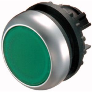 M22-D-G, Drucktaste flach, grün, M22-D-G, Zubehör für Meldegerät