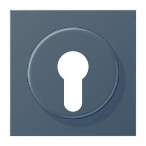 AL 2928 D Abdeckung für Schlüsselschalter mit Demo