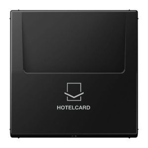LS 590 CARD SWM Hotelcard-Schalter (ohne Taster-Einsatz)