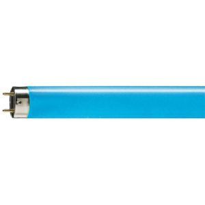 TL-D Colored 58W Blue 1SL/25 TL-D farbig - Fluorescent lamp - Lampenl