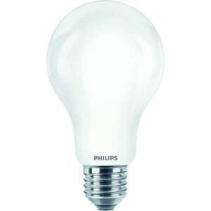 CorePro LEDBulbND 150W E27 A67 840 FR G, CorePro Glass Lampen mit hoher Lichtstärke - LED-lamp/Multi-LED - Energieeffizienzklasse: D - Ähnlichste Farbtemperatur (Nom): 4000 K