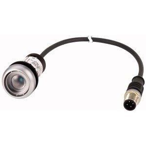 C22-DL-XW-K10-24-P1, Leuchtdrucktaste, flach, tastend, 1 S, Kabel (schwarz) mit M12A-Stecker, 4-polig, 0.2 m, LED weiß, ohne Tastenplatte, 24 V AC/DC, Frontring Titan