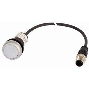 C22-DL-W-K10-24-P1, Leuchtdrucktaste, flach, tastend, 1 S, Kabel (schwarz) mit M12A-Stecker, 4-polig, 0.2 m, LED weiß, weiß, unbeschriftet, 24 V AC/DC, Frontring Titan