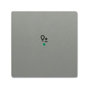 6234-10-803 Wippe 1-fach, mit Symbol "Dimmer"