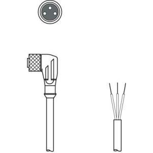 KD U-M8-3W-P1-050, Anschlussleitung