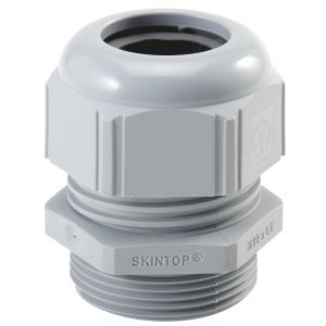 53016010 SKINTOP ST 3/8'' RAL 7001 SGY