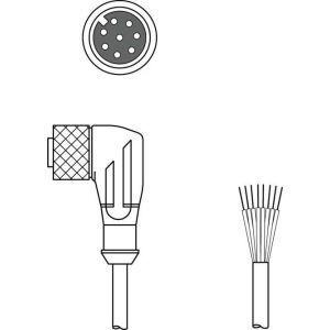 KD S-M12-8W-P1-050, Anschlussleitung