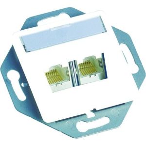 CAXESD-S0202-C001 S250OUTL.,2XRJ45,INCL.,PW,CAT6