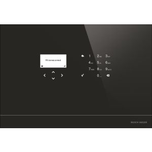 SAS-W2.11F Systemzentrale Basic