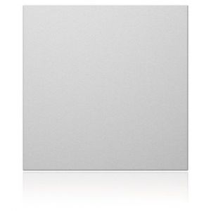 1876620 Portier Blindmodul, silber