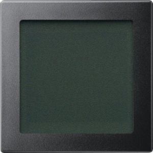 587014 Zentralplatte mit Sichtfenster, anthrazi