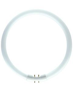 MASTER TL5 Circular 60W/840 1CT/10, Ringförmige Leuchtstofflampe TL5 C 60/840, 60W weiß