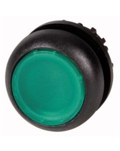 M22S-DL-G, Leuchtdrucktaste flach, grün, blanko, Zubehör für Meldegerät, M22S-DL-G