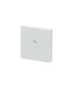 6234-10-84 Wippe 1-fach, mit Symbol "Dimmer"